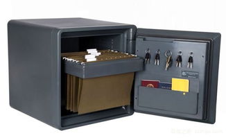 防水保險(xiǎn)柜品牌介紹與購買技巧